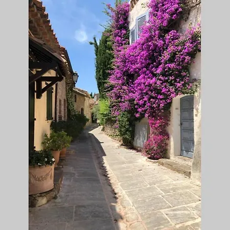 Lou Levant * Grimaud